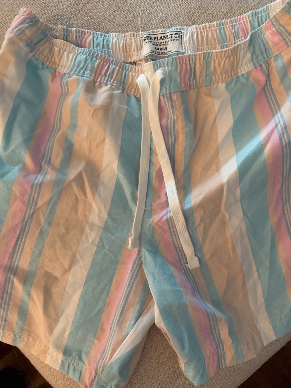 Free Planet Pastel Multicolor Stripe Swim Shorts